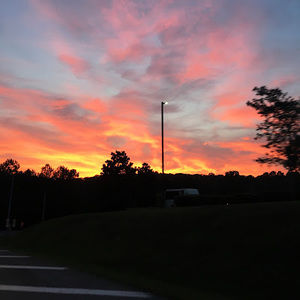 Meet your Posher, Cam